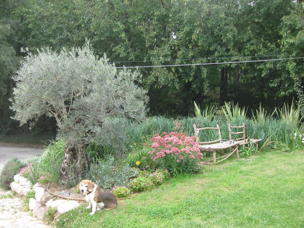 Agriturismo Campagnoletto Cavriana Bagian luar foto