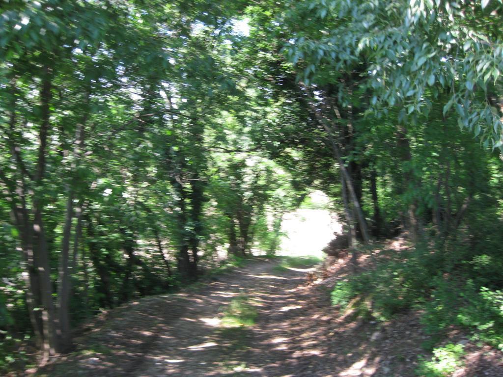 Agriturismo Campagnoletto Cavriana Ruang foto