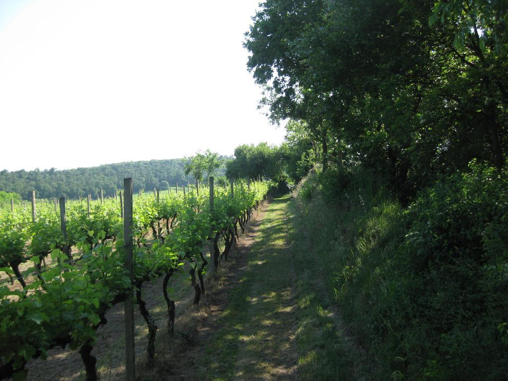 Agriturismo Campagnoletto Cavriana Ruang foto
