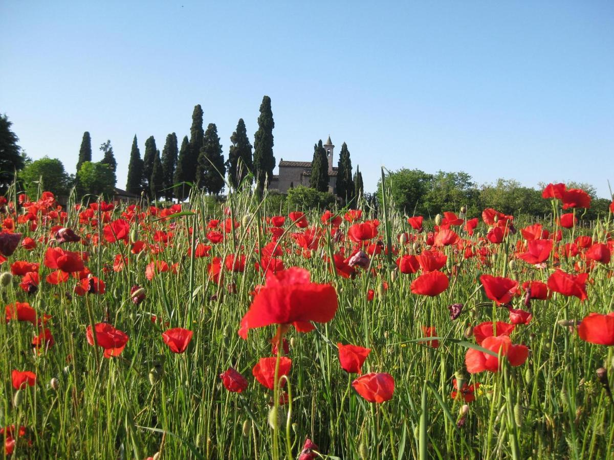 Agriturismo Campagnoletto Cavriana Bagian luar foto