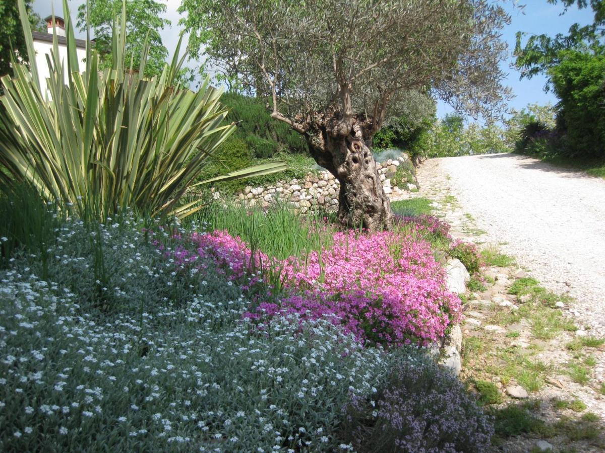Agriturismo Campagnoletto Cavriana Bagian luar foto